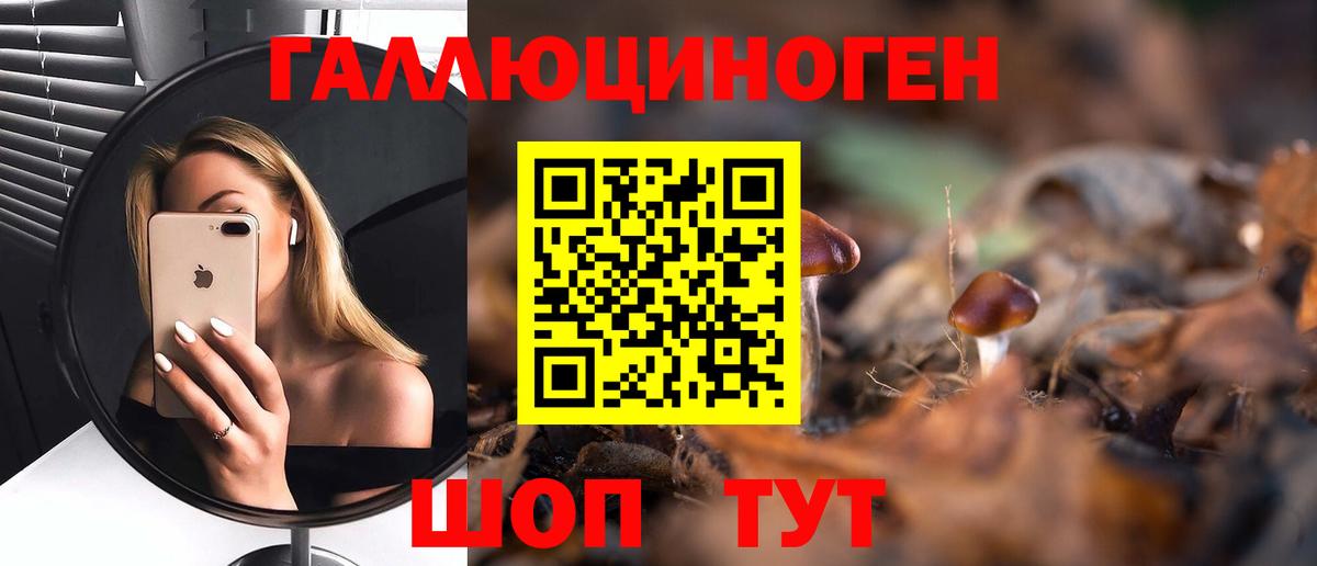 Шадринск  Галлюциногенные грибы мицелий  продажа наркотиков  Вход с VPN 