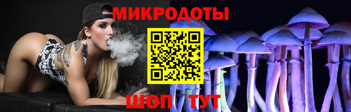 Псилоцибиновые грибы Psilocybine cubensis Шадринск